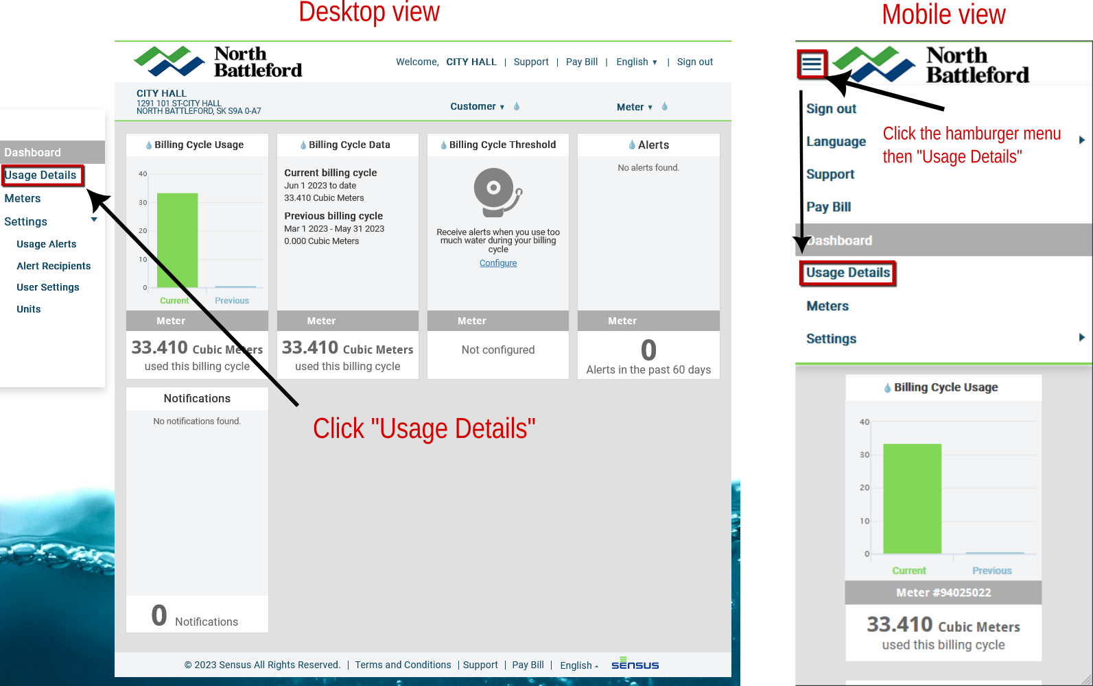 A screenshot of both the destop and mobile view showing where to find the Usage Details button