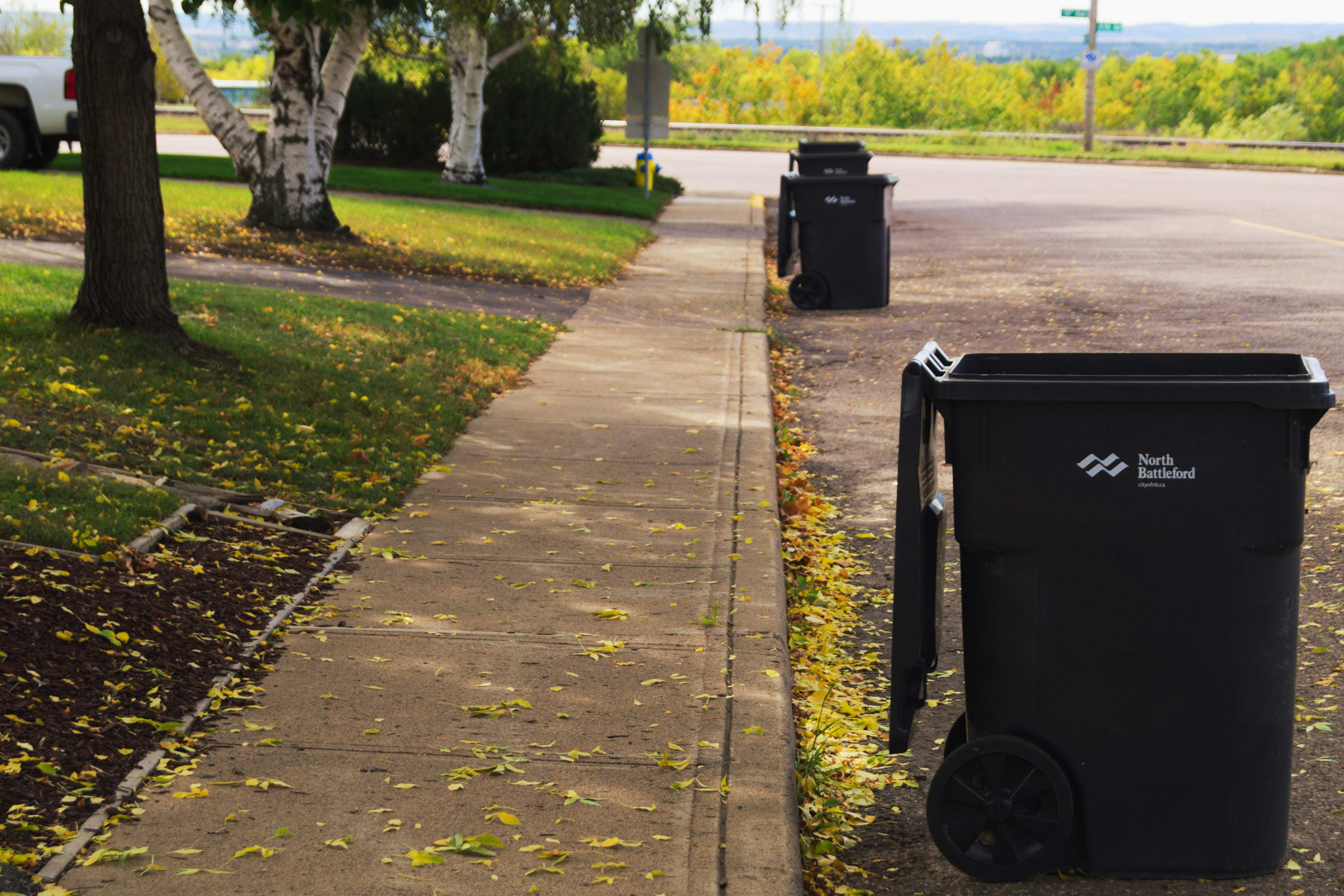 Trash bins on a neighborhood sidewalk lined with autumn leaves and trees.
